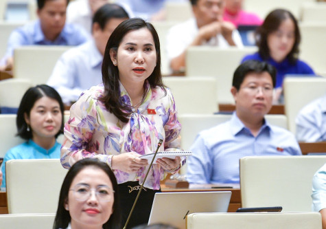Chất vấn và trả lời chất vấn nhóm vấn đề thuộc lĩnh vực tài nguyên - môi trường