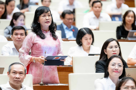 Chất vấn và trả lời chất vấn nhóm vấn đề văn hóa, thể thao và du lịch