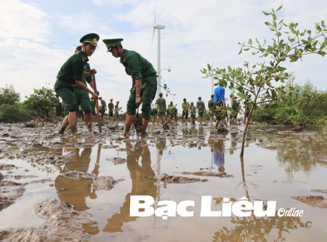 Vì màu xanh của biển