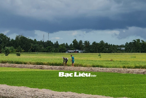 Dông sét mùa mưa và nỗi lo của người lao động