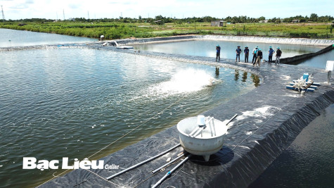 Báo chí đồng hành cùng ngành Nông nghiệp tỉnh