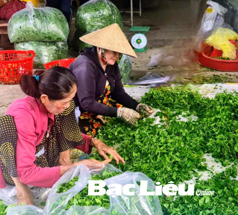 Những mô hình sản xuất hiệu quả đang được nhân rộng