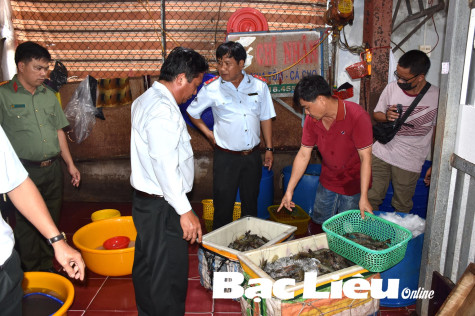 Thu giữ gần 40kg tôm bị bơm chích tạp chất