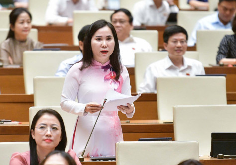 Quốc hội thảo luận về dự án Luật Phòng, chống mua bán người (sửa đổi)