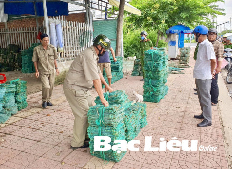 TP. Bạc Liêu: Đồng loạt ra quân lập lại trật tự đô thị, an toàn giao thông và mỹ quan đô thị