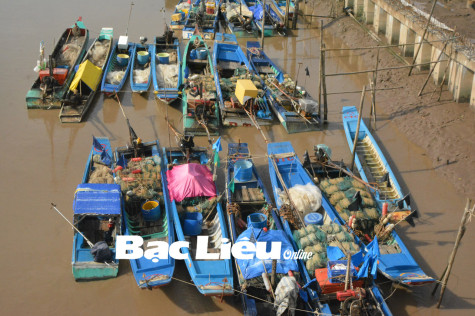 Vươn khơi​ mùa mưa bão