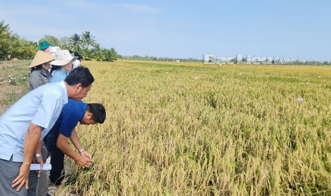 Cấp mã vùng trồng, vùng nuôi: Cần thiết và cấp bách