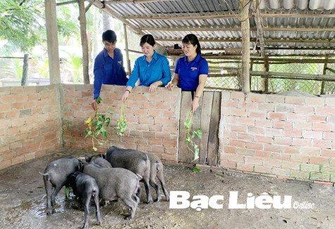 Đồng hành cùng thanh niên sáng tạo khởi nghiệp, lập nghiệp