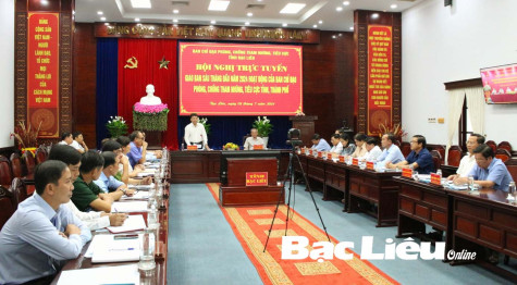 Sơ kết 6 tháng đầu năm về hoạt động của Ban Chỉ đạo phòng, chống tham nhũng, tiêu cực tỉnh, thành phố