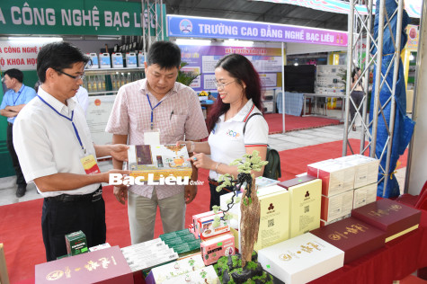 Phấn đấu hoàn thành nhiệm vụ thu ngân sách nhà nước năm 2024