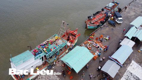 Báo động tình trạng thiếu lao động nghề biển