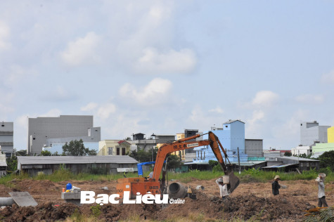 TP. Bạc Liêu: Tăng cường quản lý và quy hoạch đất công