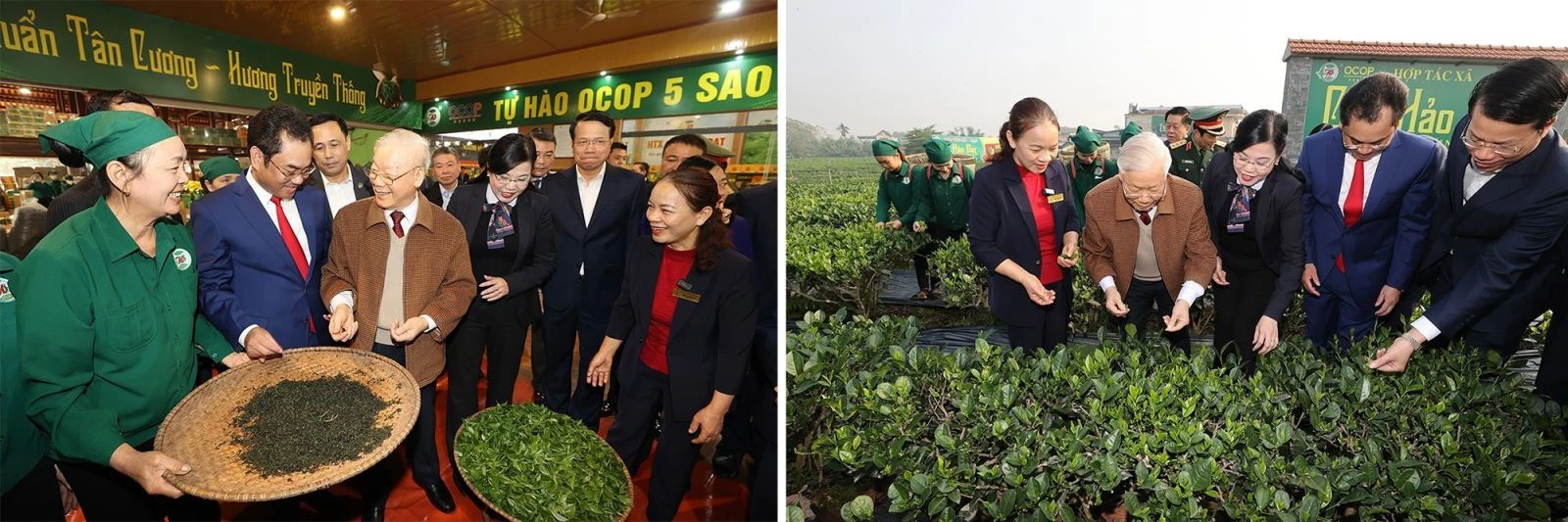 Tổng Bí thư Nguyễn Phú Trọng thăm vườn chè, khu vực trưng bày sản phẩm và chế biến chè của Hợp tác xã Hảo Đạt, thành phố Thái Nguyên (tỉnh Thái Nguyên).