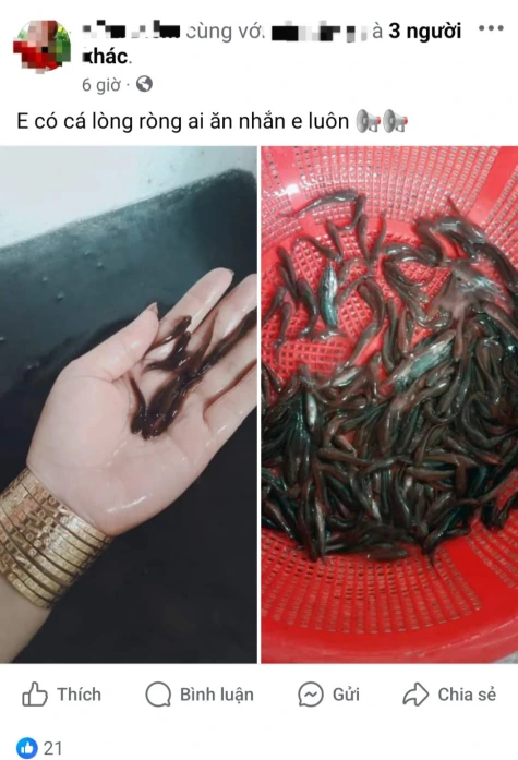 Rao bán cá non trên mạng xã hội