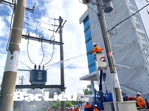 Tổ chức khóa đào tạo vệ sinh cách điện