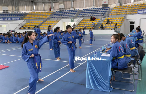 Gần 250 võ sinh Vovinam thi thăng đẳng
