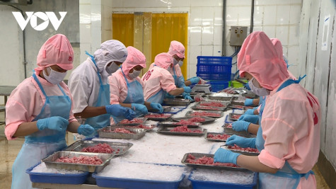 Việt Nam xuất siêu 14,08 tỷ USD trong 7 tháng năm 2024