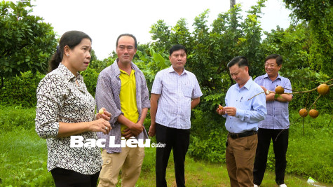 Khảo sát một số mô hình kinh tế ở 2 xã Hiệp Thành và Vĩnh Trạch Đông