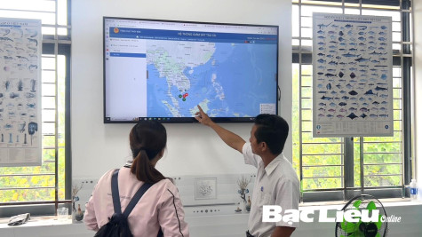 Toàn tỉnh có 745 chiếc tàu cá được cấp giấy phép khai thác thủy sản
