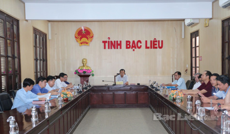 Hội nghị trực tuyến về ban hành bổ sung, cập nhật Quy hoạch điện VIII