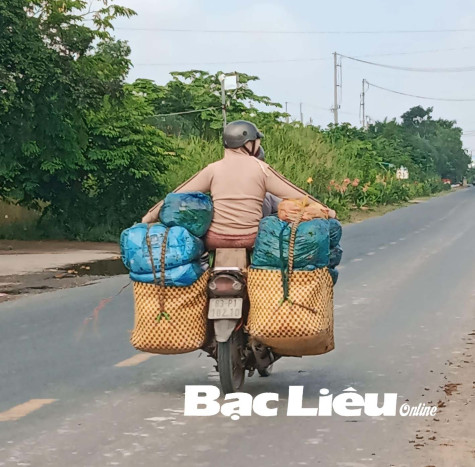 Mối nguy từ việc chở người kèm nông sản trên xe máy