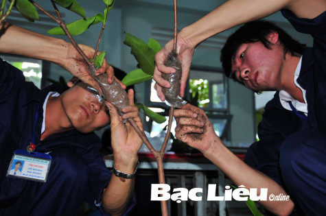 Khoa Nông nghiệp - Thủy sản, Trường cao đẳng Kinh tế - Kỹ thuật Bạc Liêu: Đẩy mạnh đào tạo nghề Trồng trọt và Chăn nuôi