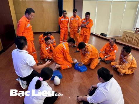 Huấn luyện sơ cấp cứu ban đầu cho gần 70 viên chức ngành Điện