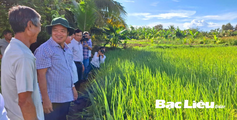 Phó Bí thư Thường trực Tỉnh ủy - Huỳnh Quốc Việt làm việc với Ban Thường vụ Thị ủy Giá Rai