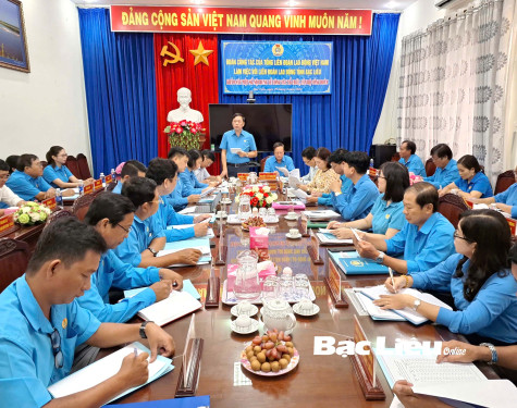 Tổng LĐLĐ Việt Nam khảo sát, nắm tình hình về công tác tổ chức, cán bộ công đoàn tại Bạc Liêu