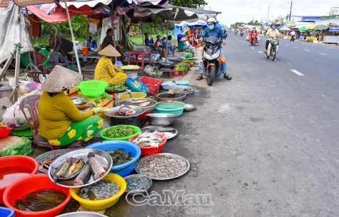 Chọn lựa và bảo quản thực phẩm đúng cách