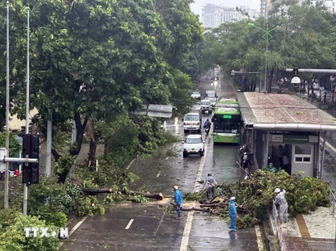 Những lưu ý quan trọng khi di chuyển trên đường trong ngày mưa bão