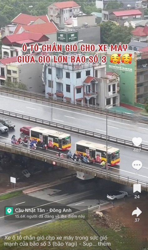 Bầu bí thương nhau