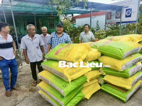 Hỗ trợ 6 tấn lúa giống cho nông dân