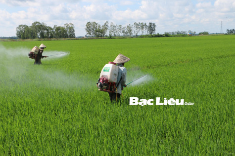 Sở LĐ-TB&XH: Tập huấn rà soát hộ nghèo, cận nghèo và xác định hộ có mức sống trung bình theo chuẩn nghèo đa chiều