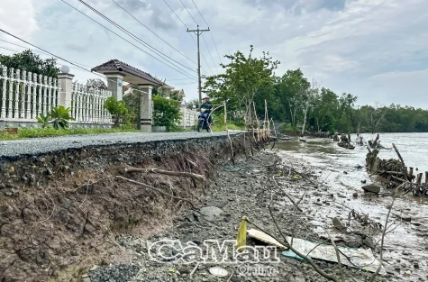 Cảnh giác, chủ động phòng chống thiên tai