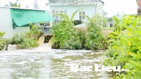 Chủ động tiêu úng, phục vụ sản xuất
