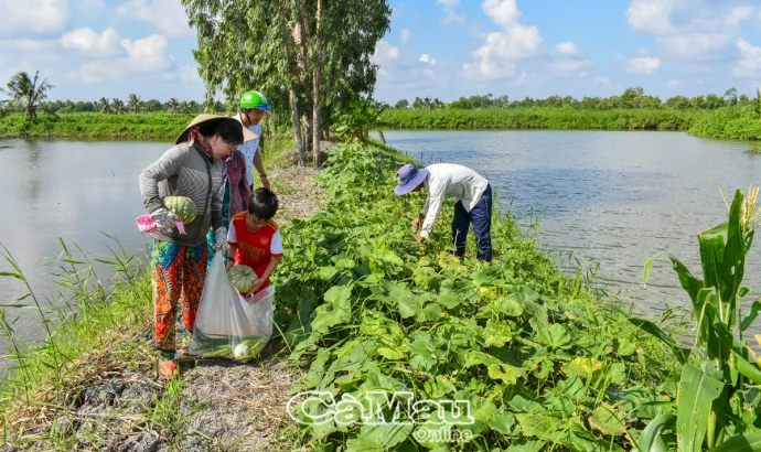 Khơi dậy tính cần cù, yêu lao động