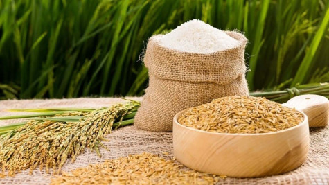 Giá gạo tăng 50 - 200 đồng/kg