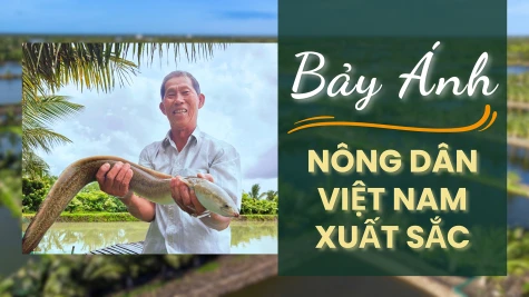 Bảy Ánh - Nông dân Việt Nam xuất sắc