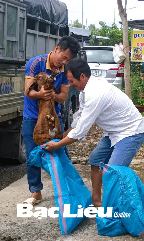 Bàn giao 3 “Mái ấm da cam” và hỗ trợ vật nuôi cho nạn nhân chất độc da cam/dioxin huyện Đông Hải
