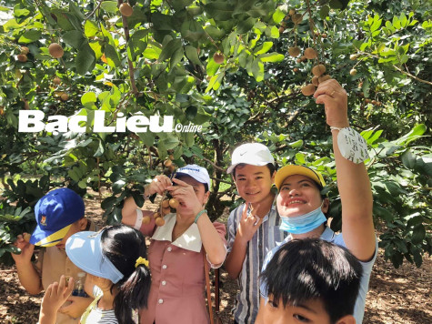 Sơ kết 2 năm thực hiện Đề án phát triển cây Thanh nhãn: Những hiệu quả đáng ghi nhận
