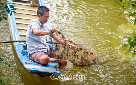 Mùa ghẹm