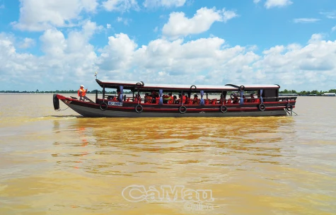 Thú vị chuyến khám phá Cù lao An Bình