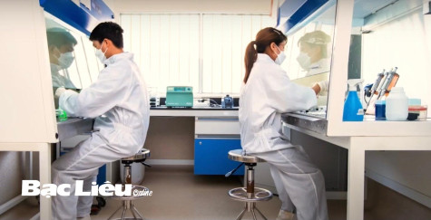 Kiểm soát tạp chất, nâng cao chất lượng tôm nguyên liệu