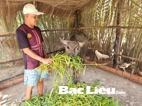 Hòa Bình: Triển khai các mô hình giảm nghèo bền vững