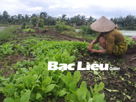 Huyện Phước Long: Nông dân thi đua giảm nghèo bền vững