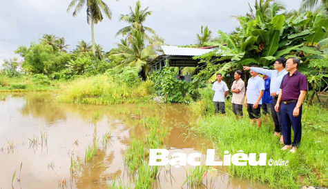 Cấp bách đầu tư công trình thủy lợi cho vùng sản xuất lúa
