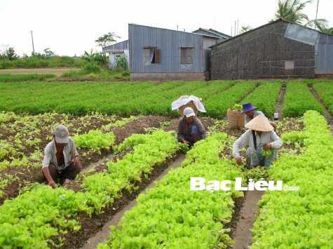 UBND TP. Bạc Liêu: Xây dựng Đề án phát triển xã Hiệp Thành lên phường vào năm 2025