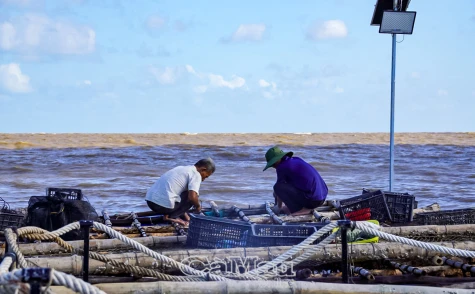 Chủ động ứng phó thiên tai trên biển