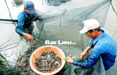 Sở LĐ-TB&XH: Tổ chức chiến dịch truyền thông về giảm nghèo bền vững